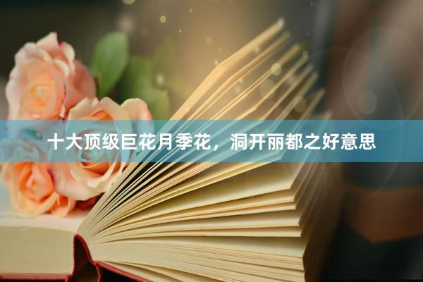 十大顶级巨花月季花,洞开丽都之好意思